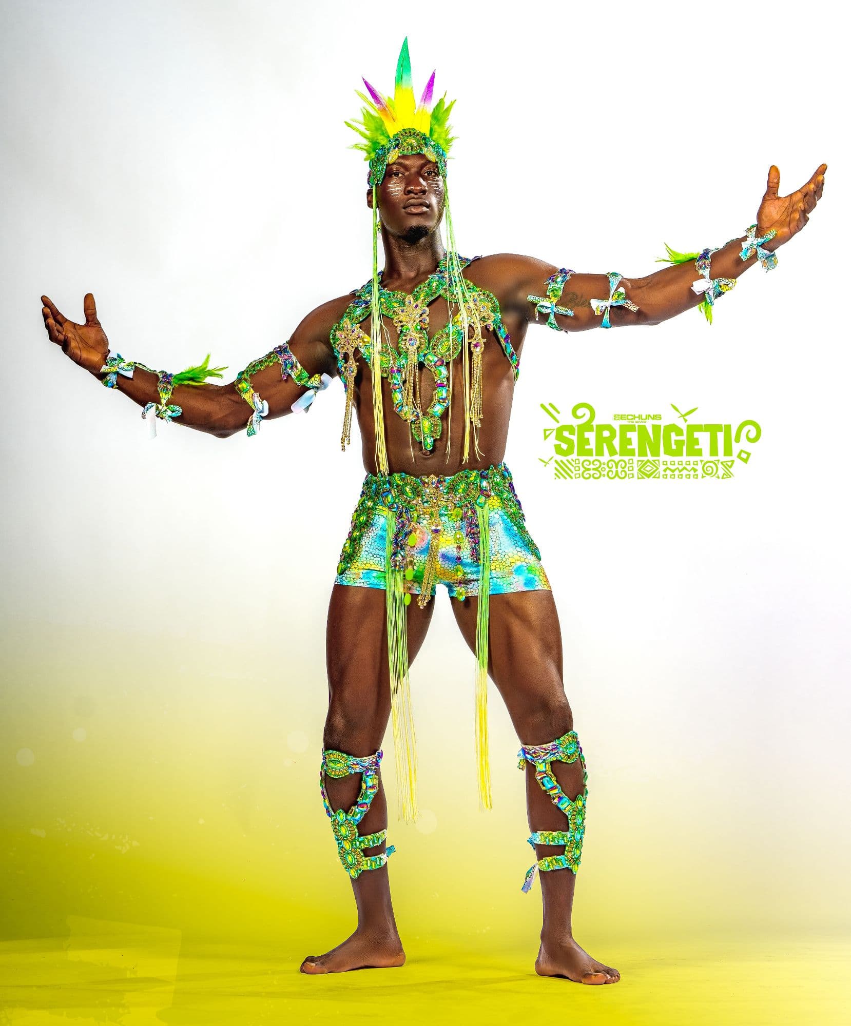 Package image
